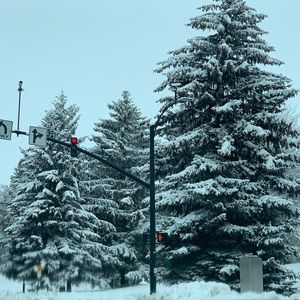 Meet your Posher, Jacklin